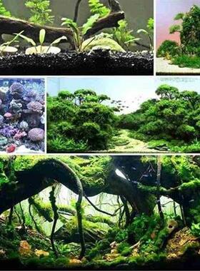 Aquarium fish tank bottom sand landscape decoration sand