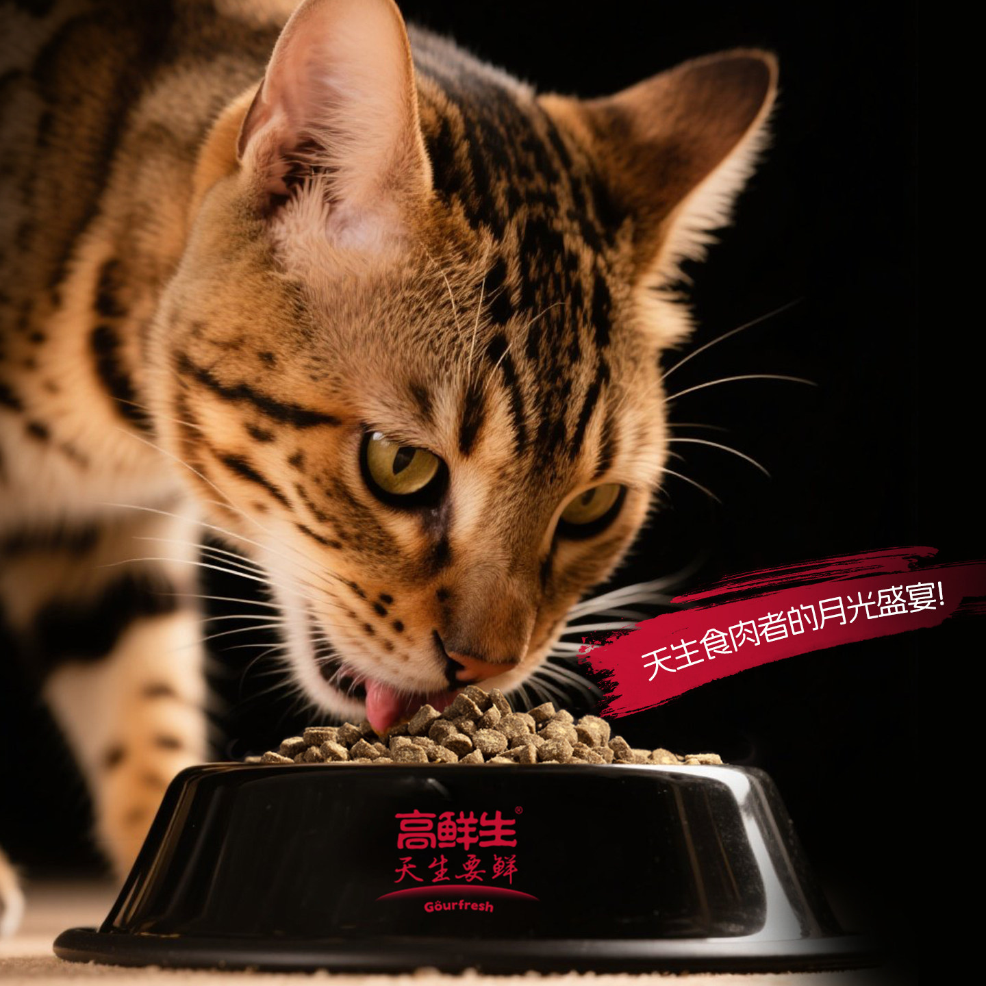 高鲜生低温烘焙猫粮无谷成猫幼猫专用全价鸡肉鹅肉兔肉冻干猫粮,淘宝优惠券,粉丝福利购,淘宝优惠卷