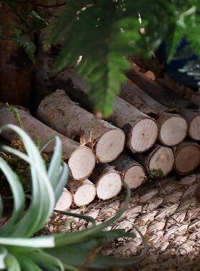 白桦木小栅栏室内花园庭院小篱笆装饰摆件微景观造景围栏实木户外