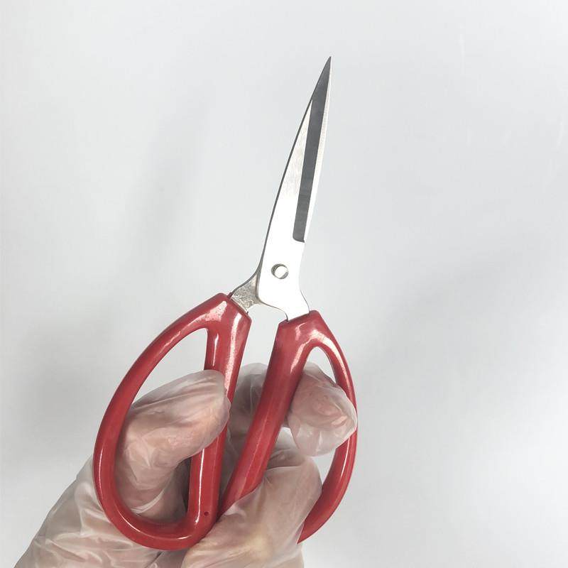 剪刀不锈钢家用剪子小剪刀手工剪纸剪线头厨房专用尖头剪红枣核桃,淘宝优惠券,粉丝福利购,淘宝优惠卷