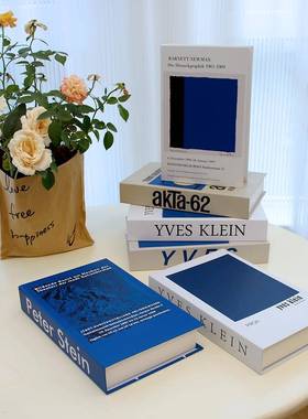 克莱因蓝摆件蓝色咖啡厅民宿装饰艺术假书陈列摆件克莱因蓝摆件