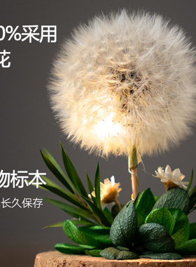 小夜灯蒲公英永生干花束玻璃礼物