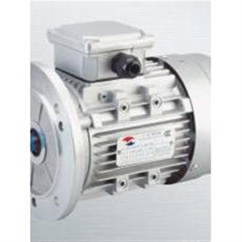 YSJ8024 750W YSJ8016 370W 三相异步电动机 厂家直销 - 图0