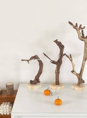 TJJ丨原木树杈摆件ins冷淡风书架客厅树枝摆设饰品摄影拍摄道具