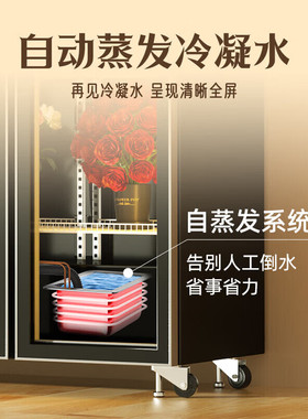 威力鲜保柜商用风冷藏店展