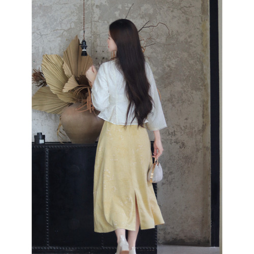 瑶西【听月】金色半裙刺绣立领上衣秋天汉服新中式收腰裙子两件套 - 图3