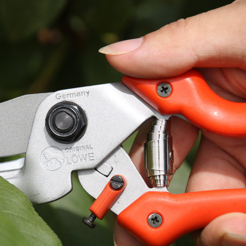 德国狮牌进口修枝剪 剪刀6109果树剪子园艺手剪刀园林工具粗枝剪,淘宝优惠券,粉丝福利购,淘宝优惠卷