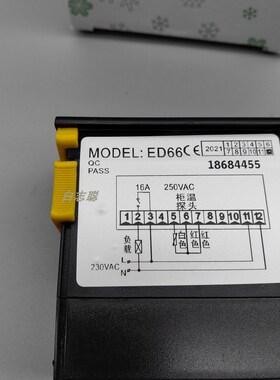 ED66 低温控制器 PT100数字超低温高温控制仪智能温控器 负199度