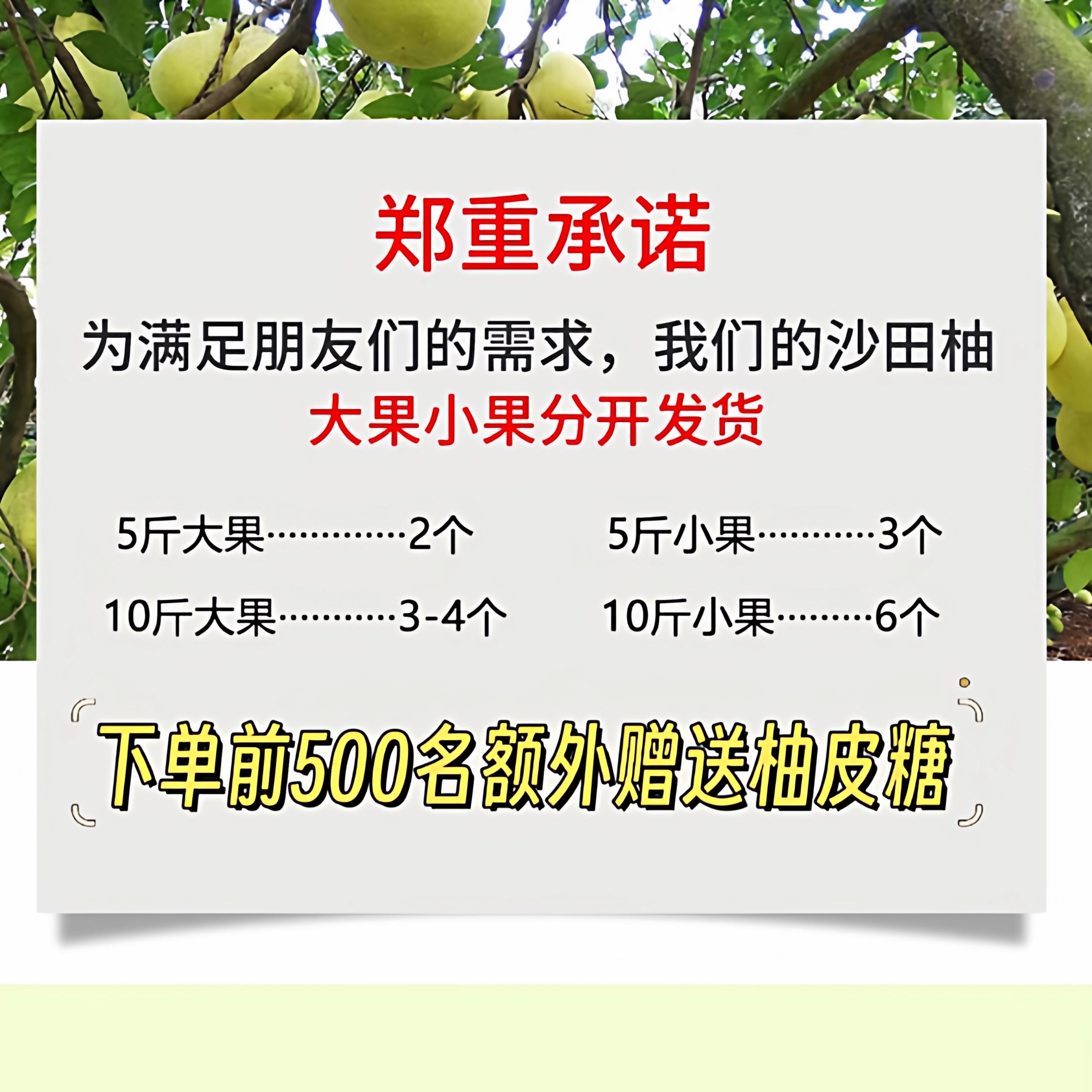 Authentic Meizhou Shatian pomelo sweet pomelo Hakka specialty