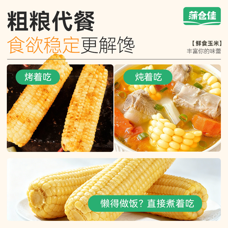 黄糯玉米新鲜大根粘糯东北苞米低脂代餐早餐真空包装240g/根