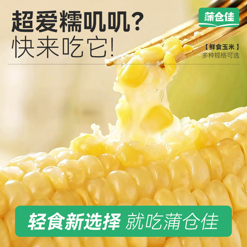 黄糯玉米新鲜大根粘糯东北苞米低脂代餐早餐真空包装240g/根