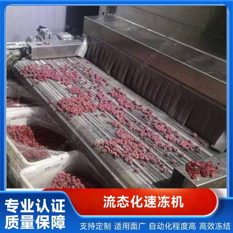 连续式流态化速冻机玉米粒毛豆仁青豌豆青刀豆草莓芒果单体冻结机 - 图1