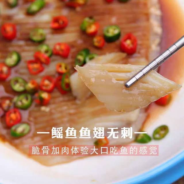 High-quality freshly cut extra large stingray fins