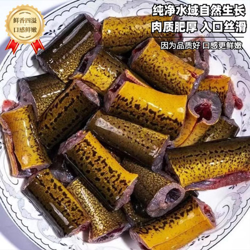 顺丰新鲜黄鳝段鲜活鳝鱼段片现杀去头去内脏野煲汤生土黄鳝商用 - 图0