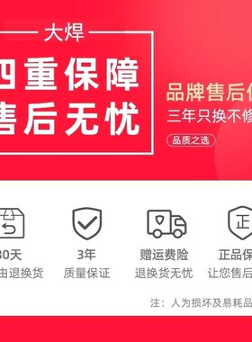 德国进口大焊电焊机家用220V小型250迷你可携式全自动全铜微型焊