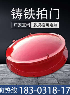 拍门防倒灌PEPP拍门塑料玻璃钢拍门浮箱拍门钢制铸铁不锈钢拍门