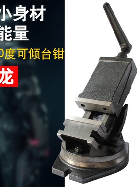 可倾斜高精度平口钳导杆式可调角度台钳钻床铣床机用角固式台虎钳
