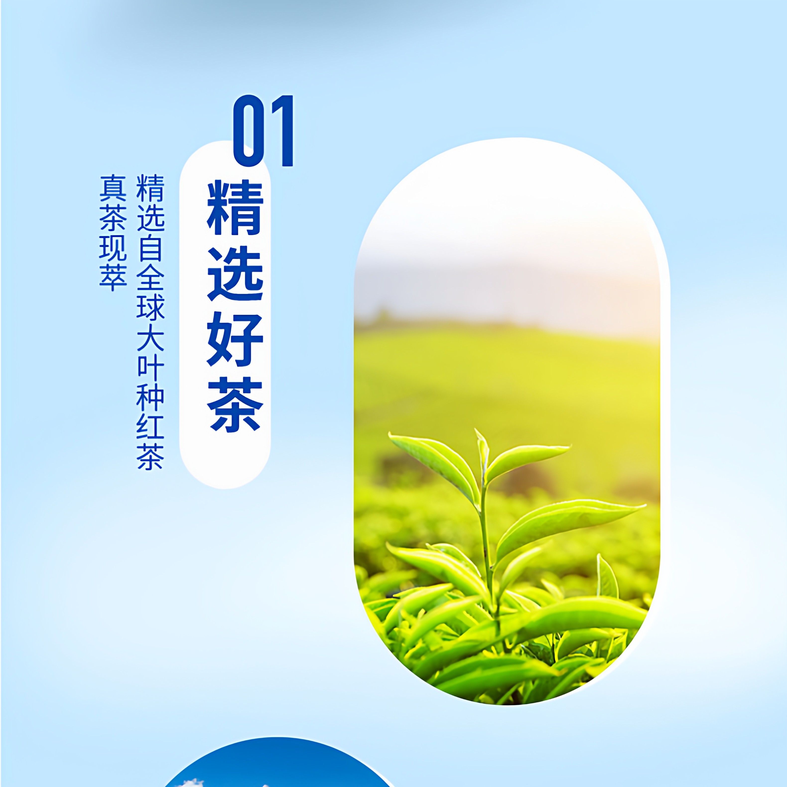 统一阿萨姆原味奶茶250ml*24罐装整箱奶茶饮料经典休闲下午茶饮品,淘宝优惠券,粉丝福利购,淘宝优惠卷