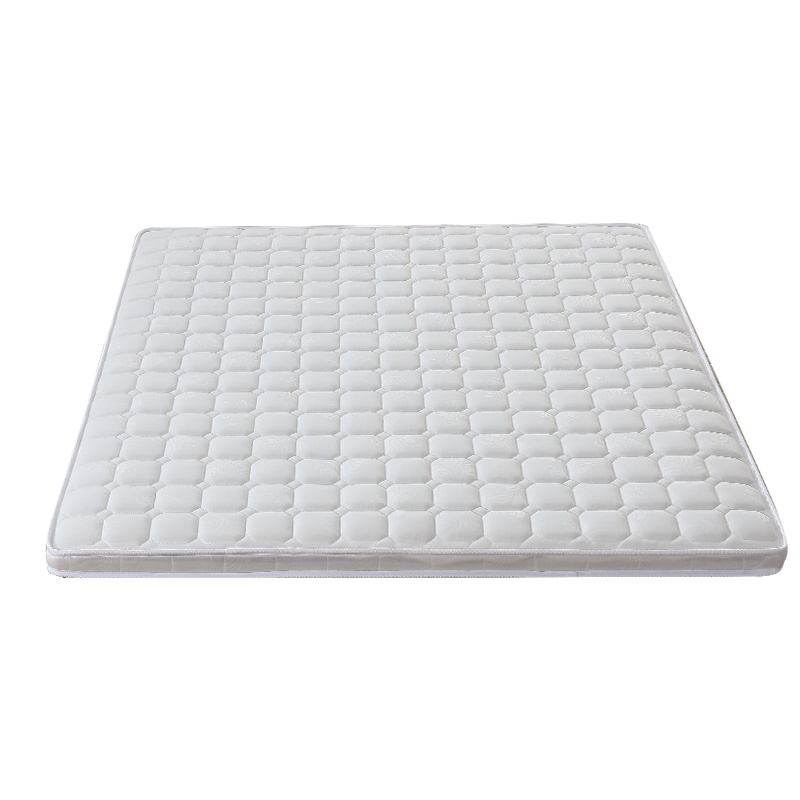 特硬床垫子环保天然纯棕家用粽卧室护脊腰1米2出租房10公分薄单人 - 图3