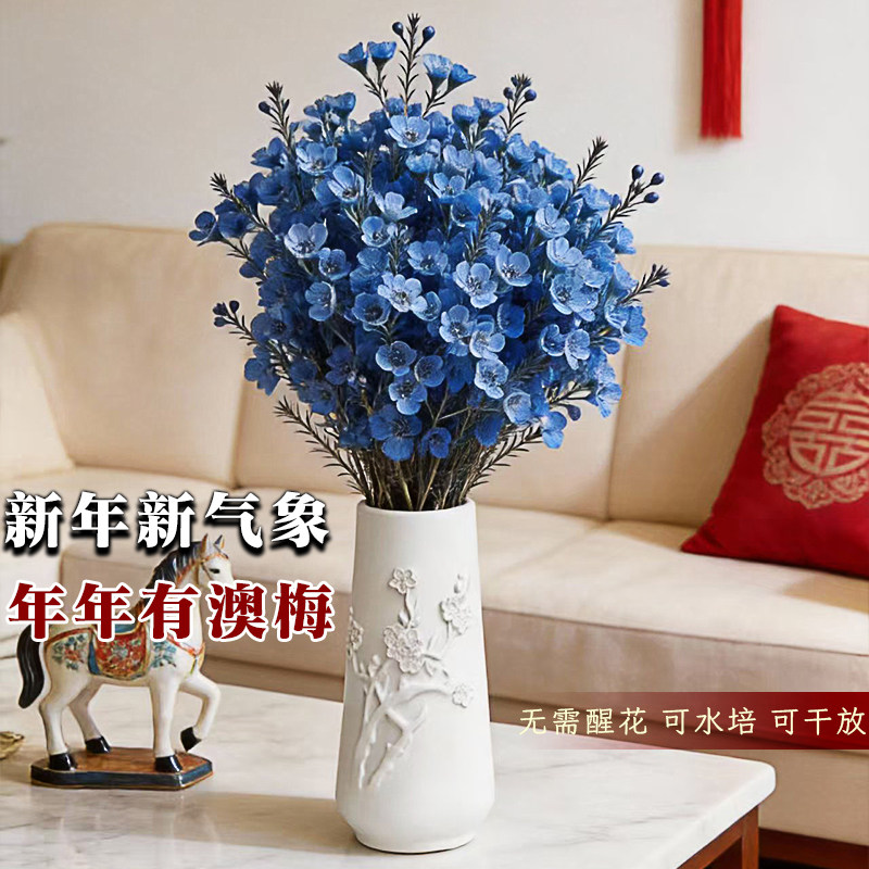 澳洲腊梅鲜花鲜切花束客厅水养干花插花云南基地直发摆件年宵真花