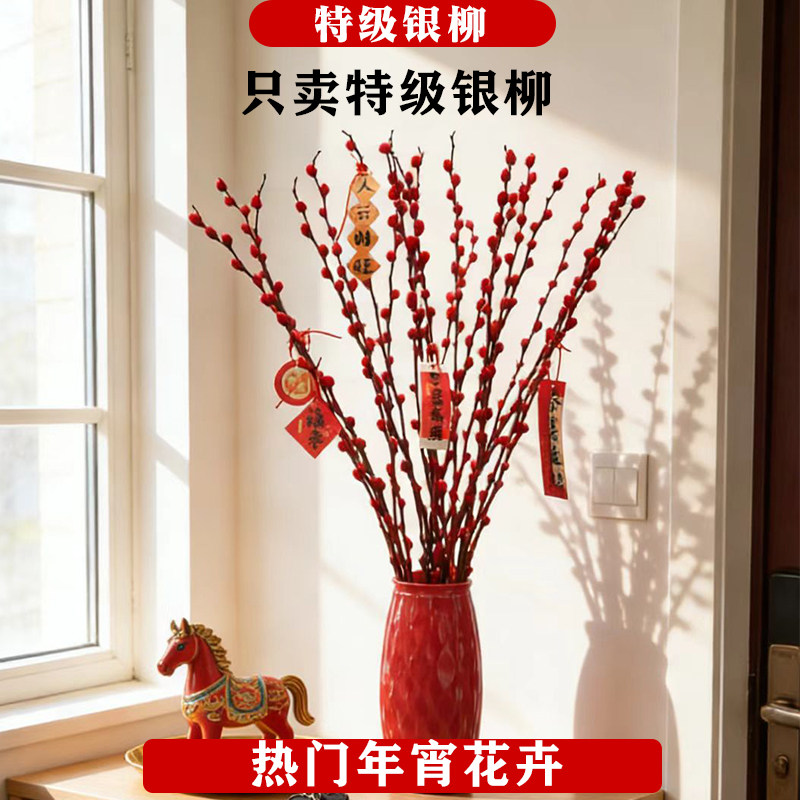 银柳真花鲜枝客厅红色干枝鲜花带花苞摆件年宵花卉室内水培绿植物