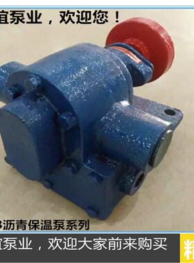高温电动沥青泵LQB1/2/3/5/-0.36 树脂泵石蜡泵化工泵齿轮油泵头