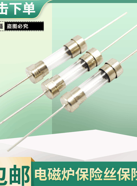 电磁炉玻璃保险管丝 5*20MM 10A  带引脚 带引线保险