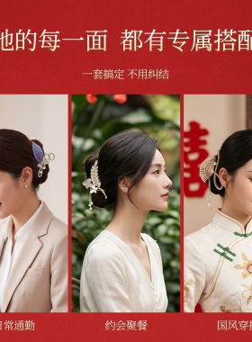 生日礼物送老婆女朋友高级感发夹
