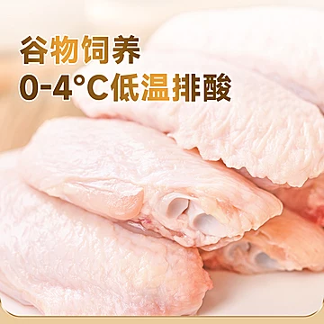 益客无抗鸡翅中500g3袋[23元优惠券]-寻折猪