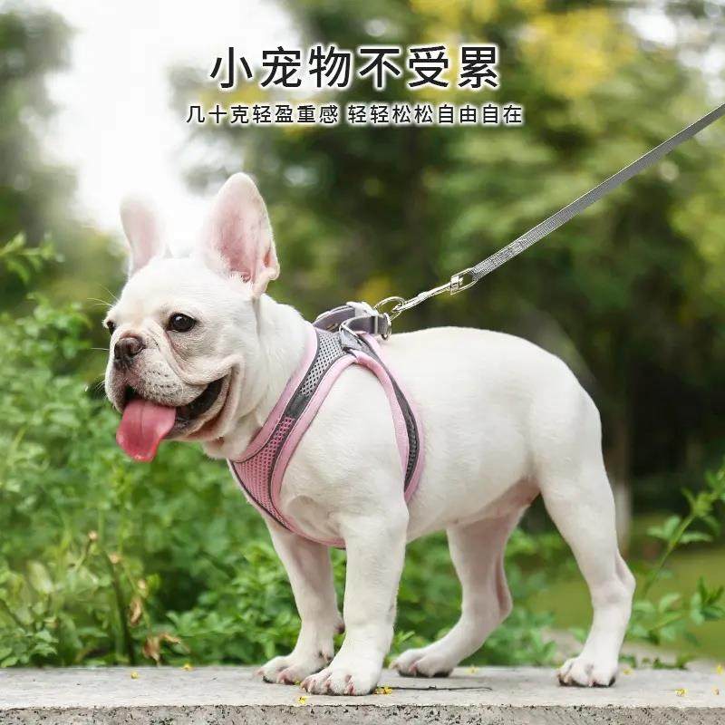 兔子牵引绳遛兔子专用防挣脱溜兔子兔绳子遛兔绳小侏儒兔用品防咬,淘宝优惠券,粉丝福利购,淘宝优惠卷