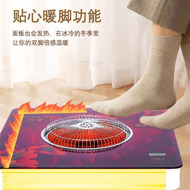 电火盆取暖器家用电p烤火盆冬季烤火炉电暖器烤火器电暖炉暖脚,淘宝优惠券,粉丝福利购,淘宝优惠卷