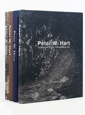 熙思装饰书艺术油画样板间饰品摆件书样板房茶几书房书柜真书装饰