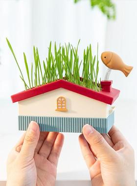 阿楹 艺术稀奇古怪小摆件猫草盆栽茶几餐桌玄关绿植水培萌粒造景