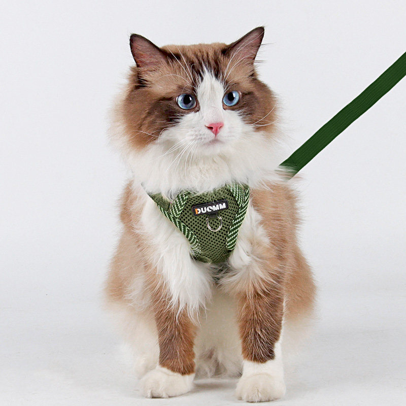 猫咪牵引绳防挣脱外出专用猫绳子宠物胸背带链子可调节布偶遛猫绳,淘宝优惠券,粉丝福利购,淘宝优惠卷