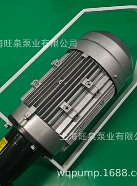 HD-1100W3-V+SS316L-1000HV250-VT螺杆式插桶泵、高粘度油桶泵