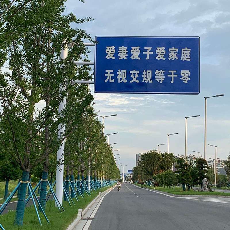 路标指示牌 交通标志牌厂家定 制 出入口标志牌 交通标识限速牌 - 图0