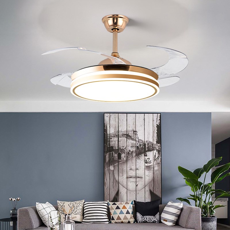 吊扇灯2025新款家用客厅饭厅吊扇灯E卧室电风扇吊灯一体带电风扇 - 图2