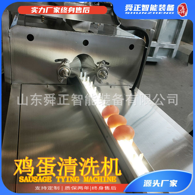 大型全自动洗蛋机 鸡蛋清洗风干光检流水线 多功能松花蛋清洗机,淘宝优惠券,粉丝福利购,淘宝优惠卷
