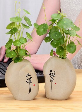 福寿安康石头假山祝福摆t件花瓶客厅玄关酒柜装饰水养植物绿萝花