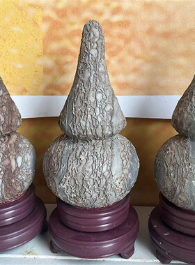 奇石结核石葫芦装饰品石蛋福禄双全树皮石蛋形石化石个性摆件自然