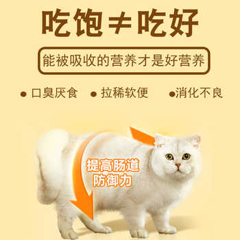 飘风猫粮高营养全价全阶段试吃100g券后1元包邮