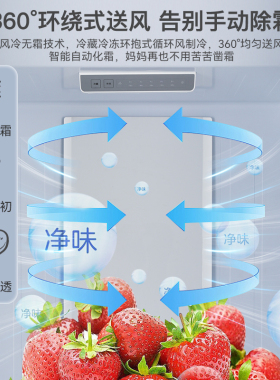 奥克斯对开双门风冷无霜电冰箱一级能效大容量十字门家用商用嵌入
