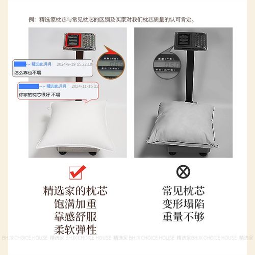 客厅沙发抱枕芯靠枕靠垫芯加重加厚支撑护腰45 50 60长正方形定制 - 图1