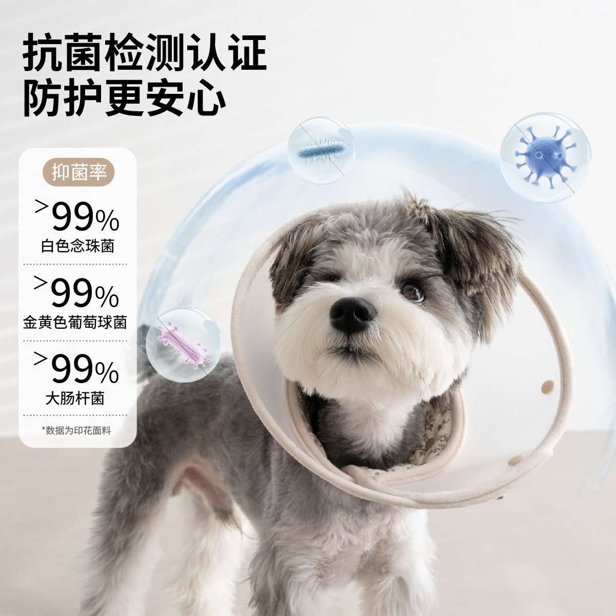 chichipaws宠物伊丽莎白圈猫狗全棉抗菌头套绝育防抓防舔可调节,淘宝优惠券,粉丝福利购,淘宝优惠卷