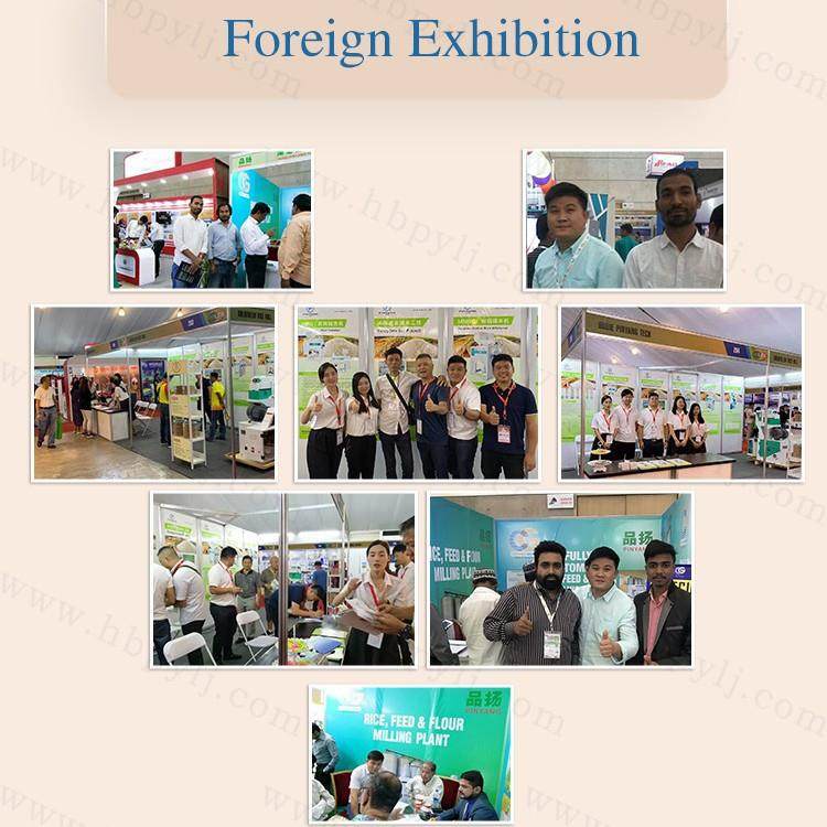 斗式提升机垂直输送机稻谷粮食大米皮带斗提机谷物颗粒上料机商用,淘宝优惠券,粉丝福利购,淘宝优惠卷