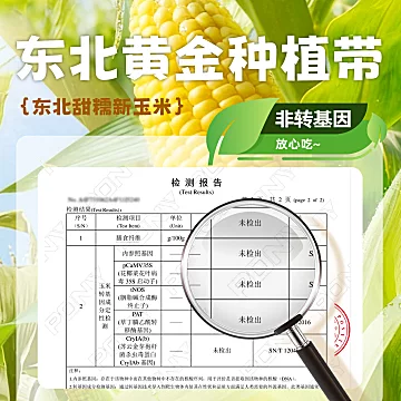 东北头茬玉米！220*8根[8元优惠券]-寻折猪