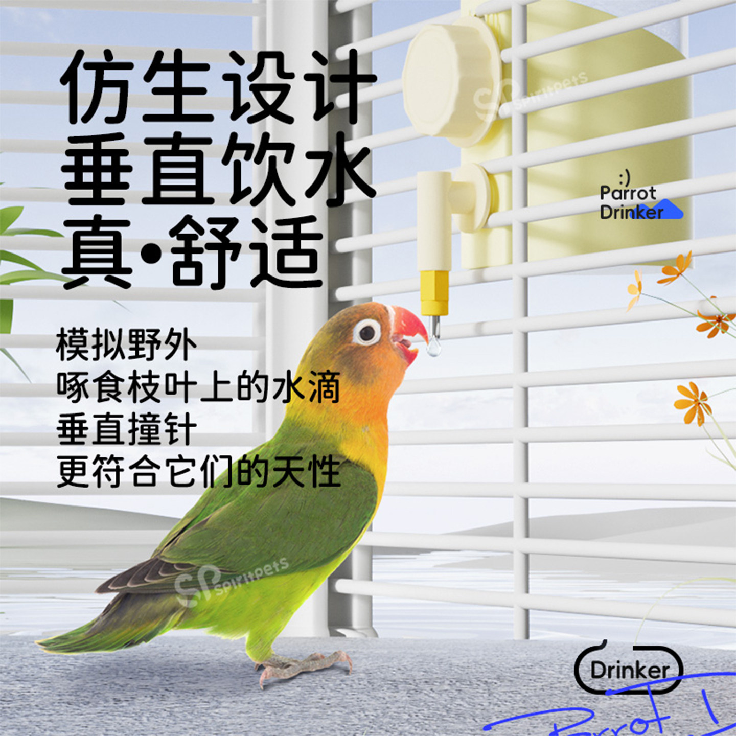 图2