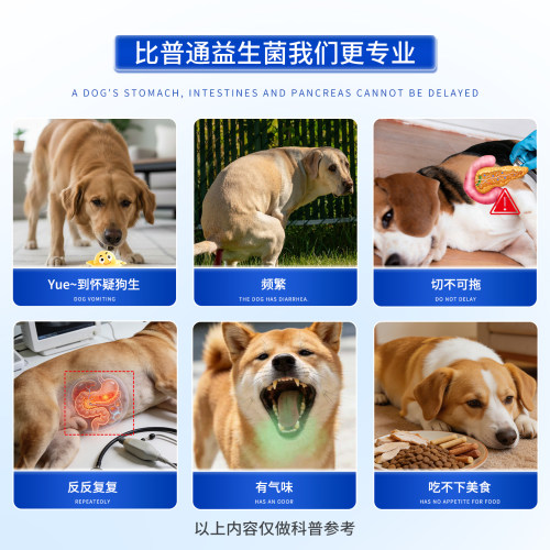 SPACEX星舰酷宠应急犬肠胰高效立康益生菌狗上下消化道常备补充酶 - 图0