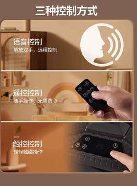 辰锋厂家新款取暖器家用仿真火焰语音遥控电壁炉暖风机电暖器