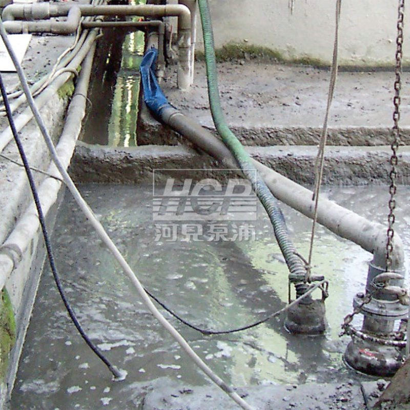 台湾河见HCP 80AGN21.5工事搅拌 雨水提升泵不锈钢污泥泵采砂 - 图3